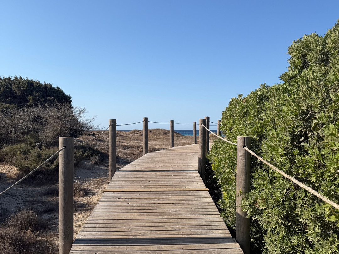 Playa de Son Bou-阿拉约尔必去景点