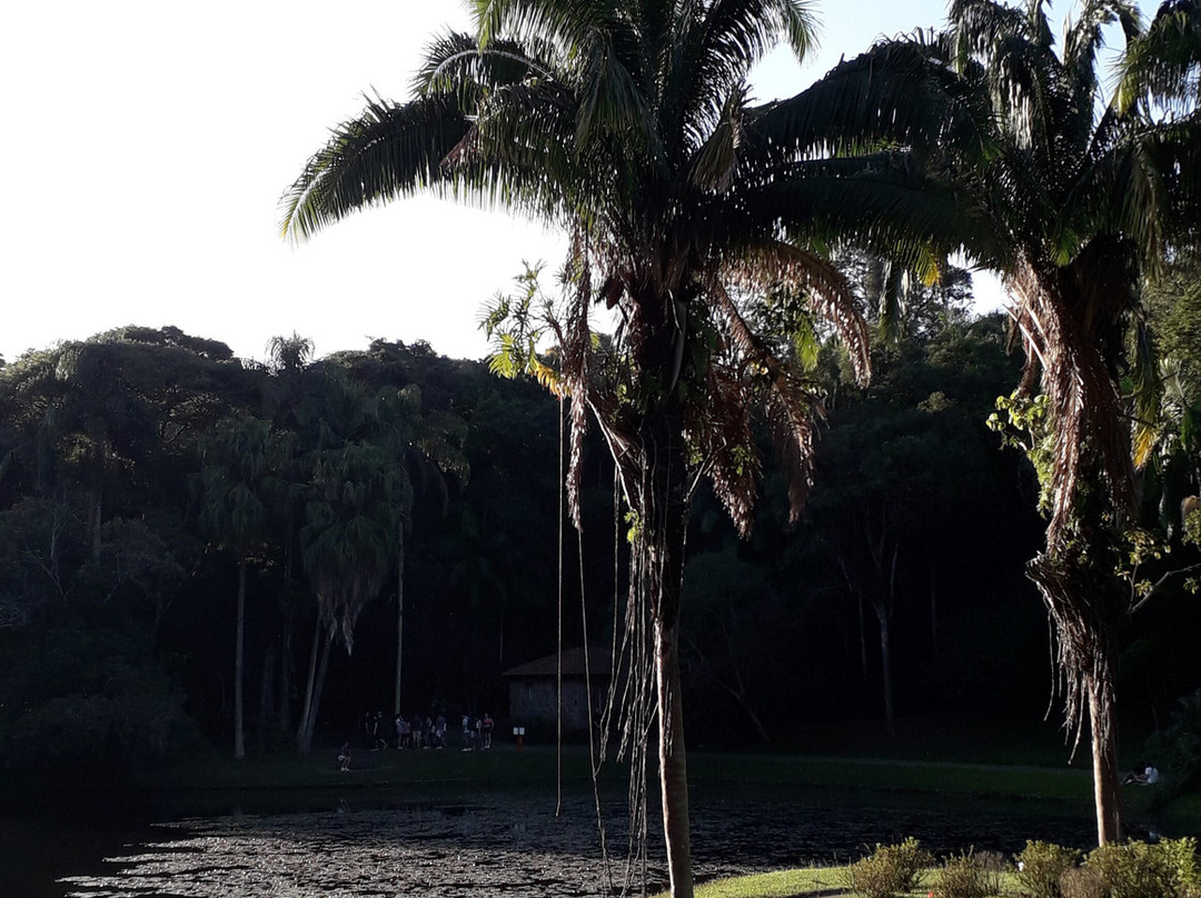 Jardim Botânico de São Paulo-圣保罗必去景点