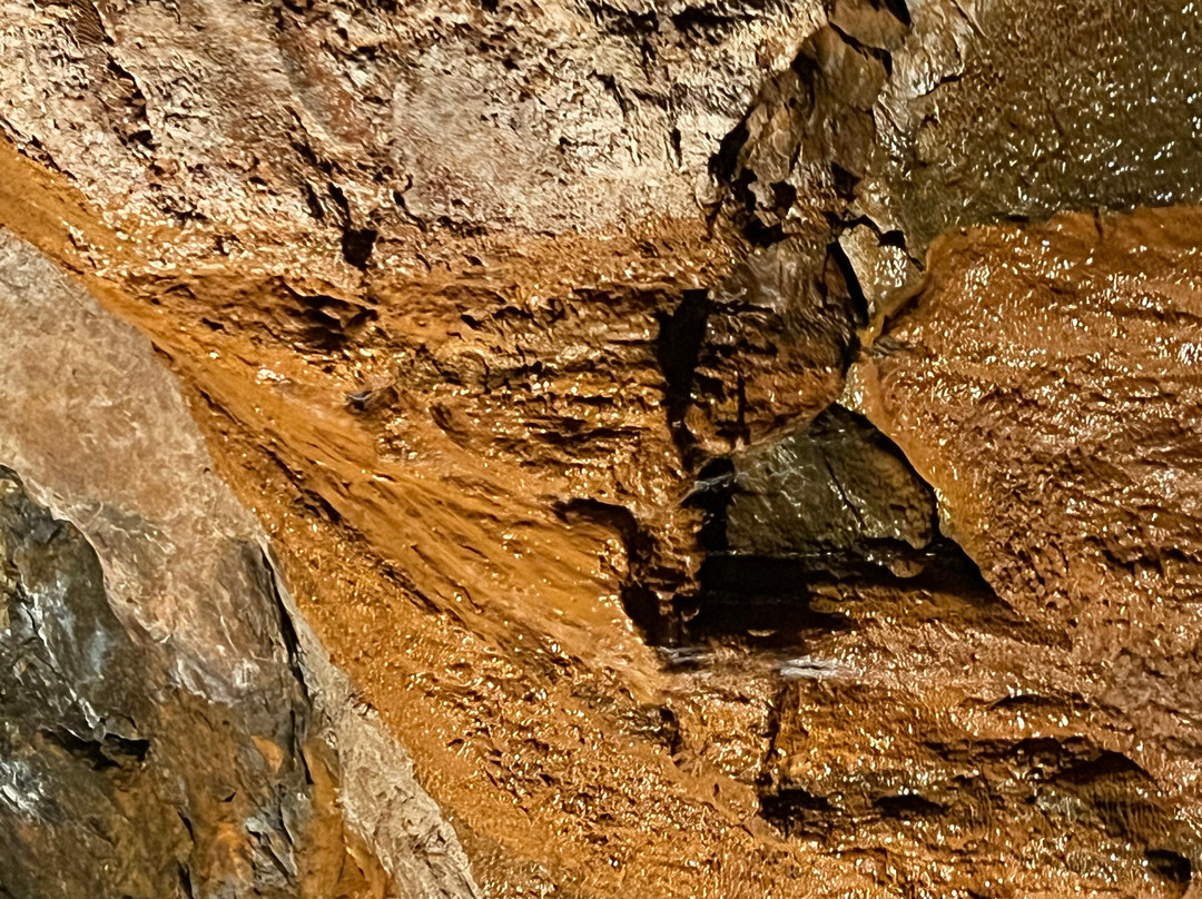 Consolidated Gold Mine-达洛尼加必去景点