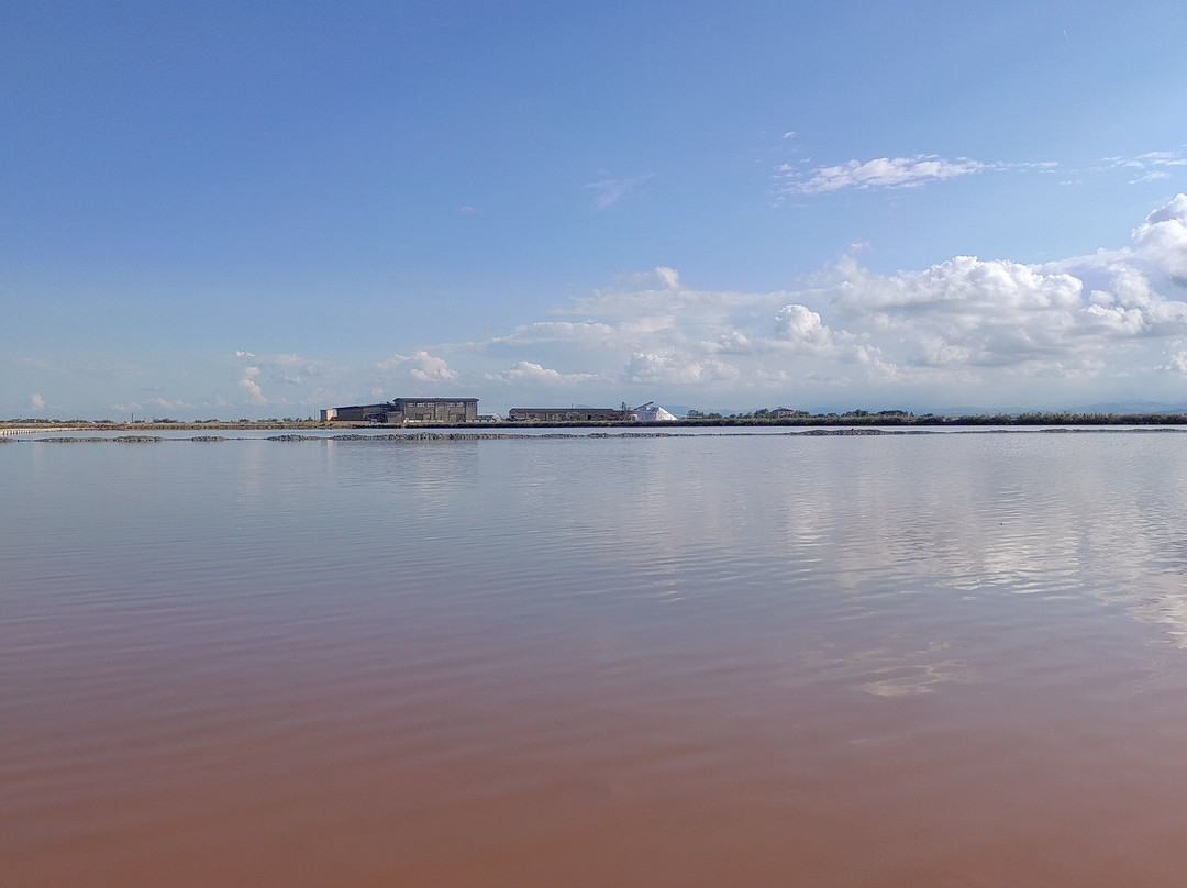 Parco della Salina di Cervia-切尔维亚必去景点