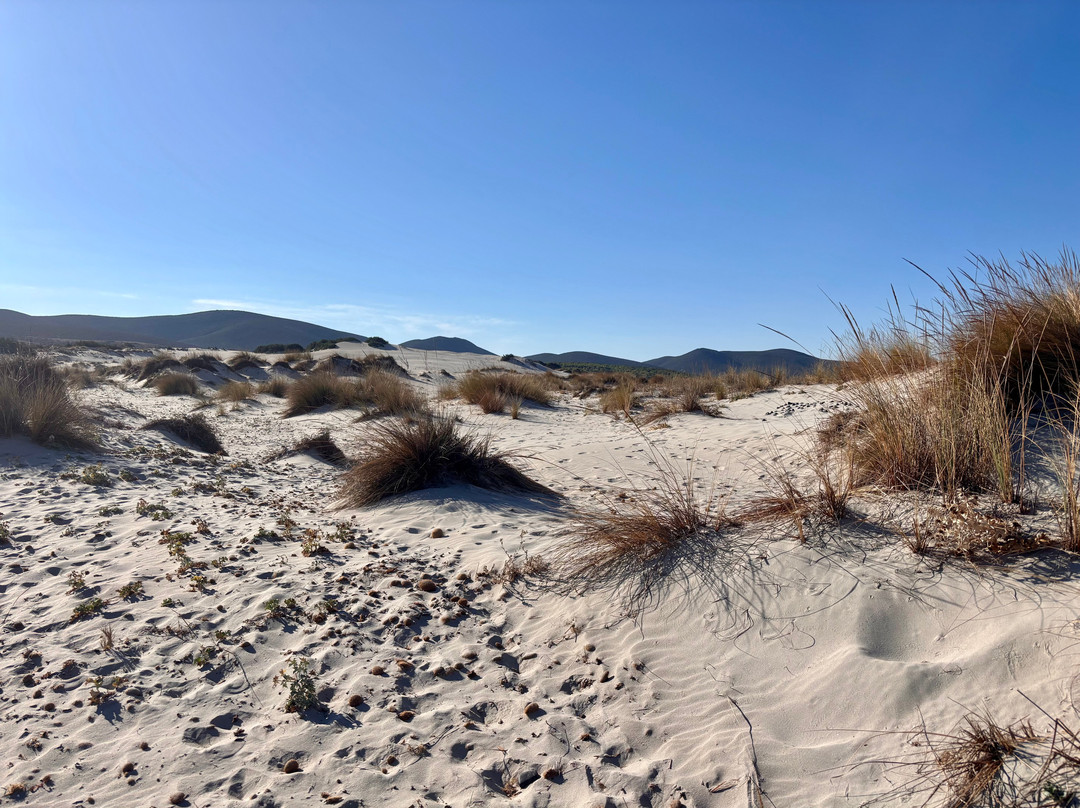 Spiaggia Is Arenas Biancas-Teulada必去景点