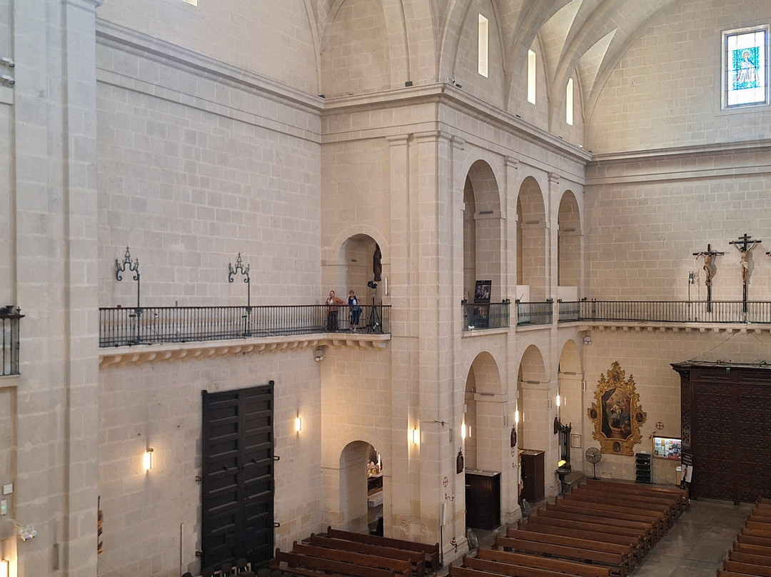 Concatedral Sant Nicolau de Bari d'Alacant-阿利坎特省必去景点
