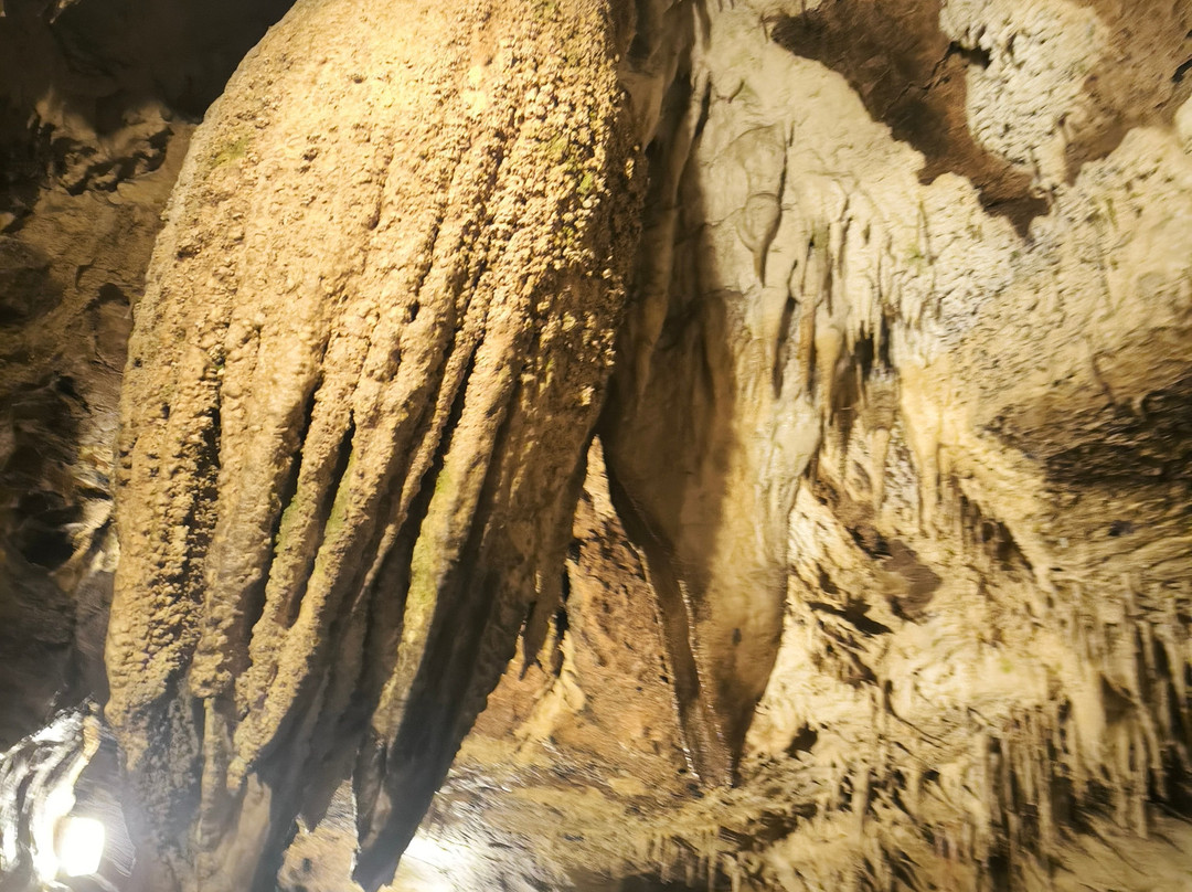 Rivière Soutéraine de Labouiche-Foix必去景点