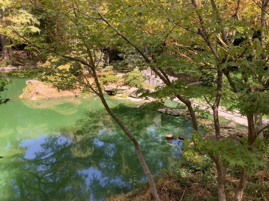 Fort Worth Botanic Garden-沃思堡必去景点