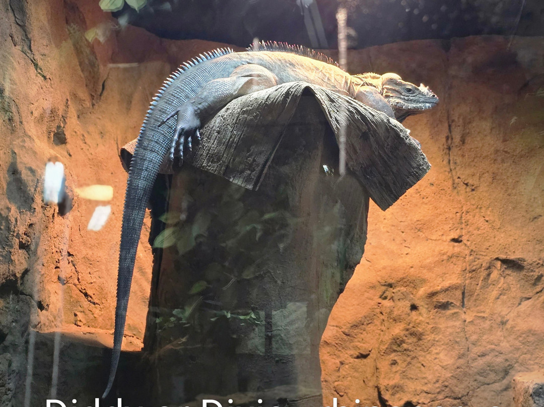 Legasea Aquarium & The Reptarium-Utica必去景点