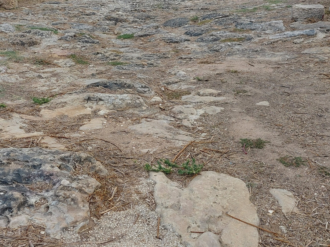 Parco Archeologico Selinunte-Castelvetrano必去景点