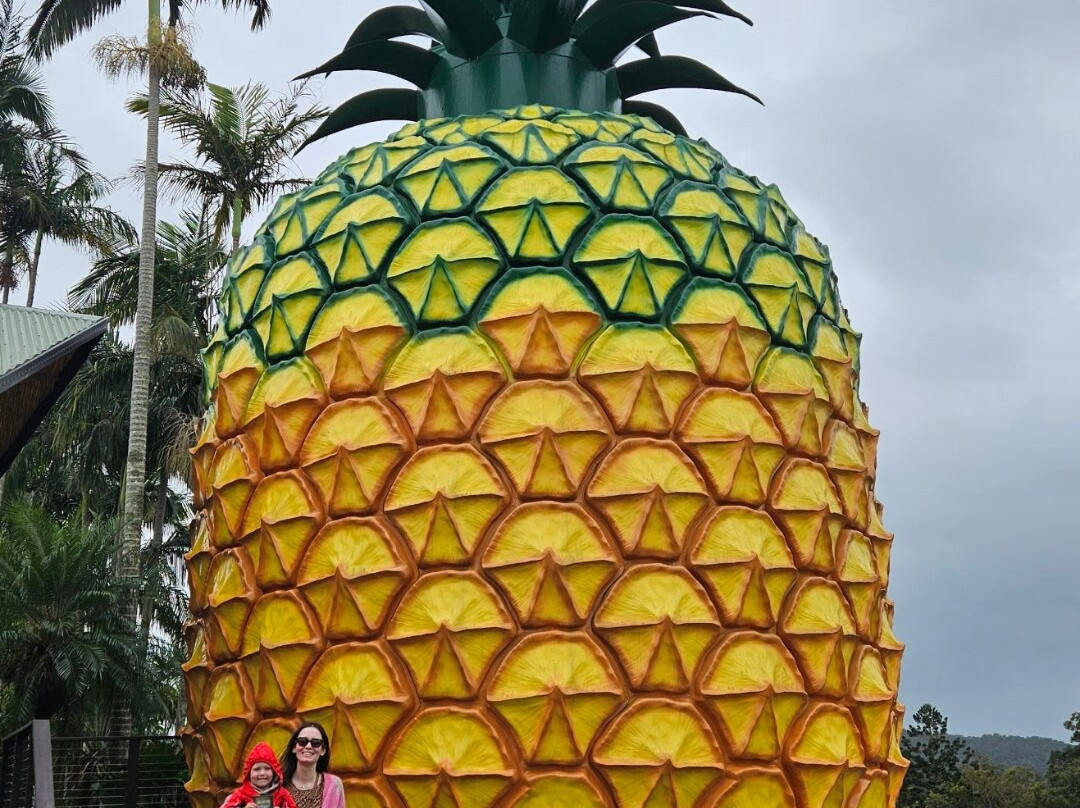 The Big Pineapple-Nambour必去景点