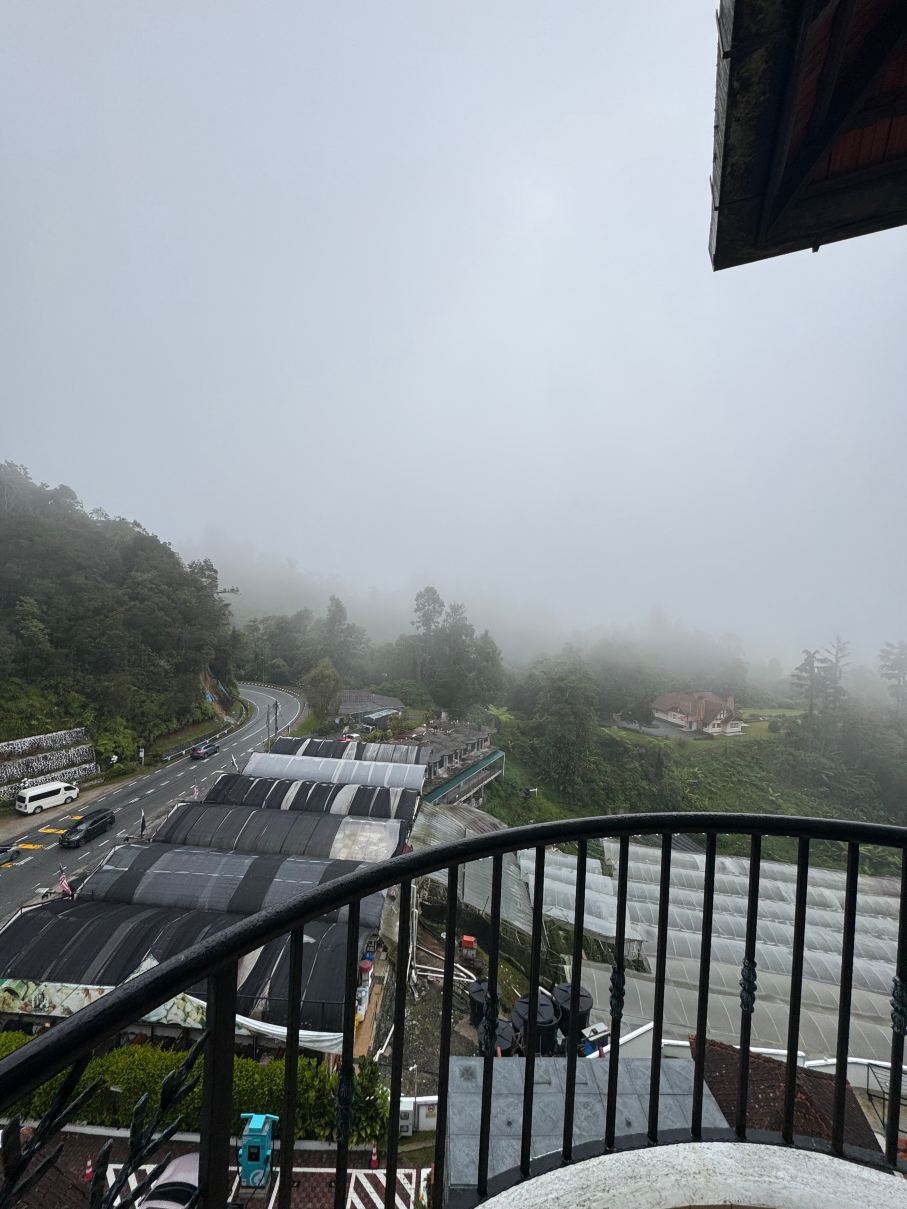 迪拉芬斯酒店-旅行者