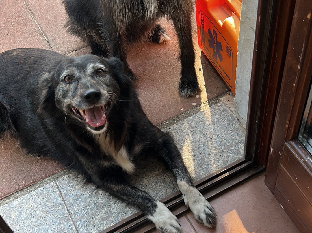 Agriturismo Li Nalboni主图