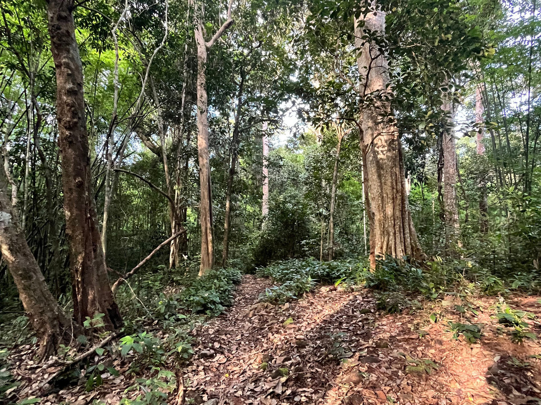 Banlung Nature Trekking Tours-邦隆必去景点