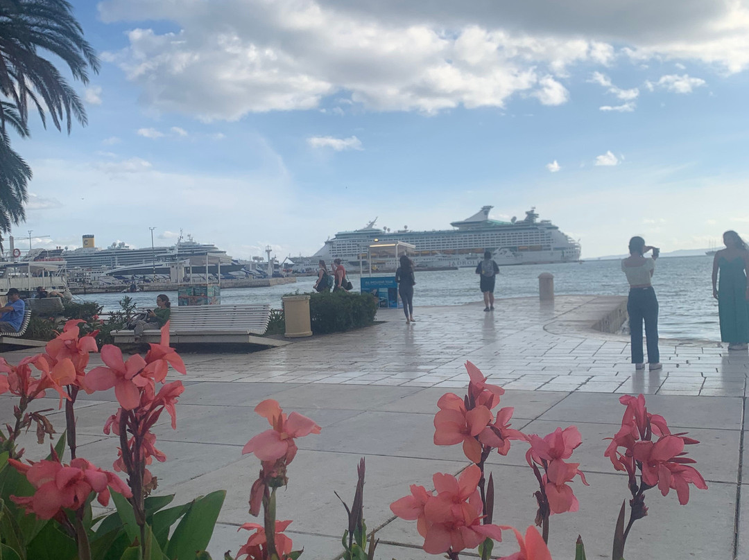 Riva Harbor-斯普利特必去景点