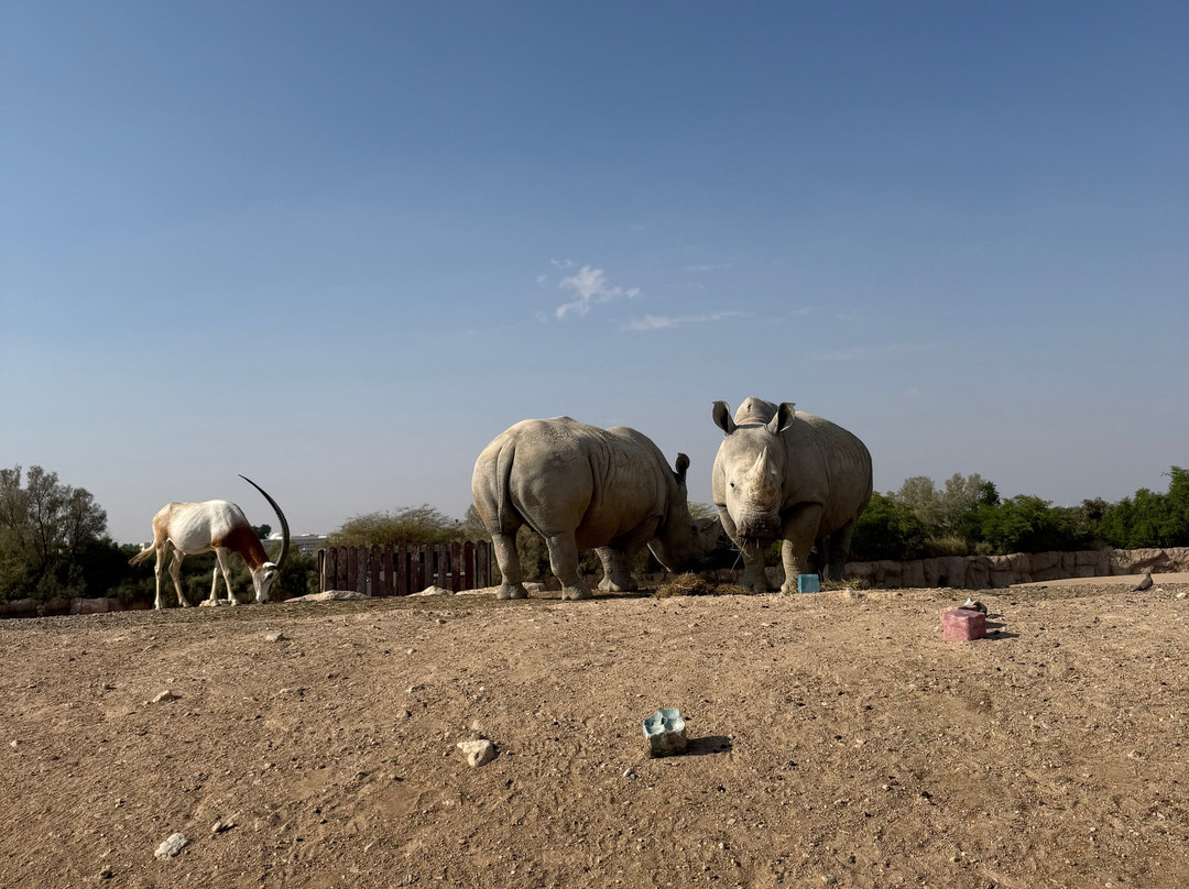 Al Ain Zoo 2017 2018 2019-艾因市必去景点