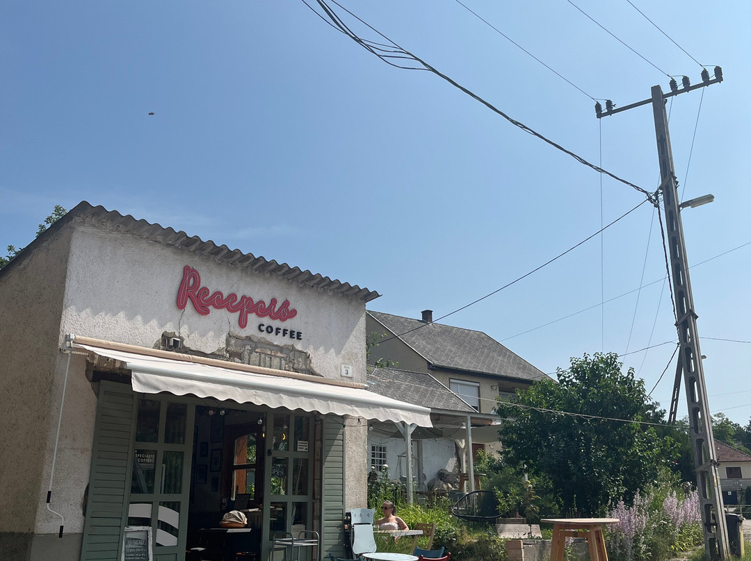 Recepció Specialty Coffee