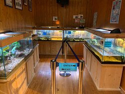 Tickfaw State Park-Springfield必去景点