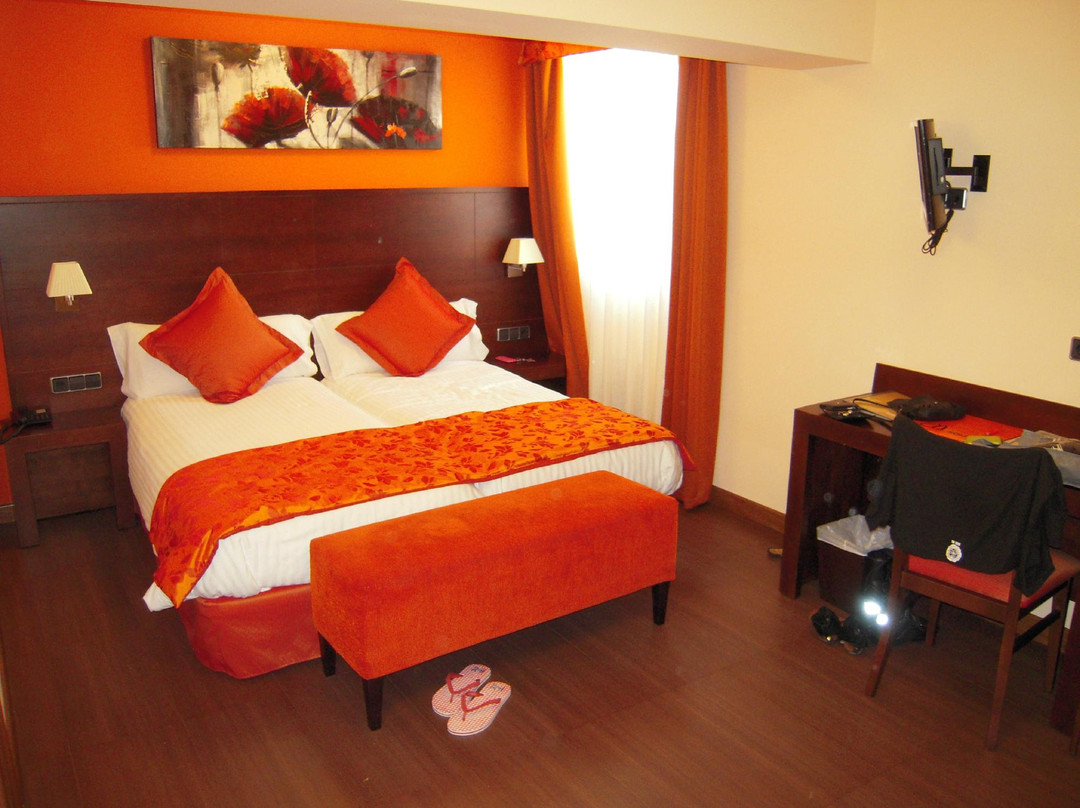 Hotel Solineu