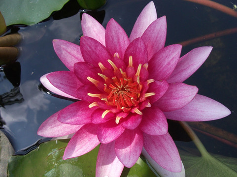 莲花山古采石场-广州市必去景点