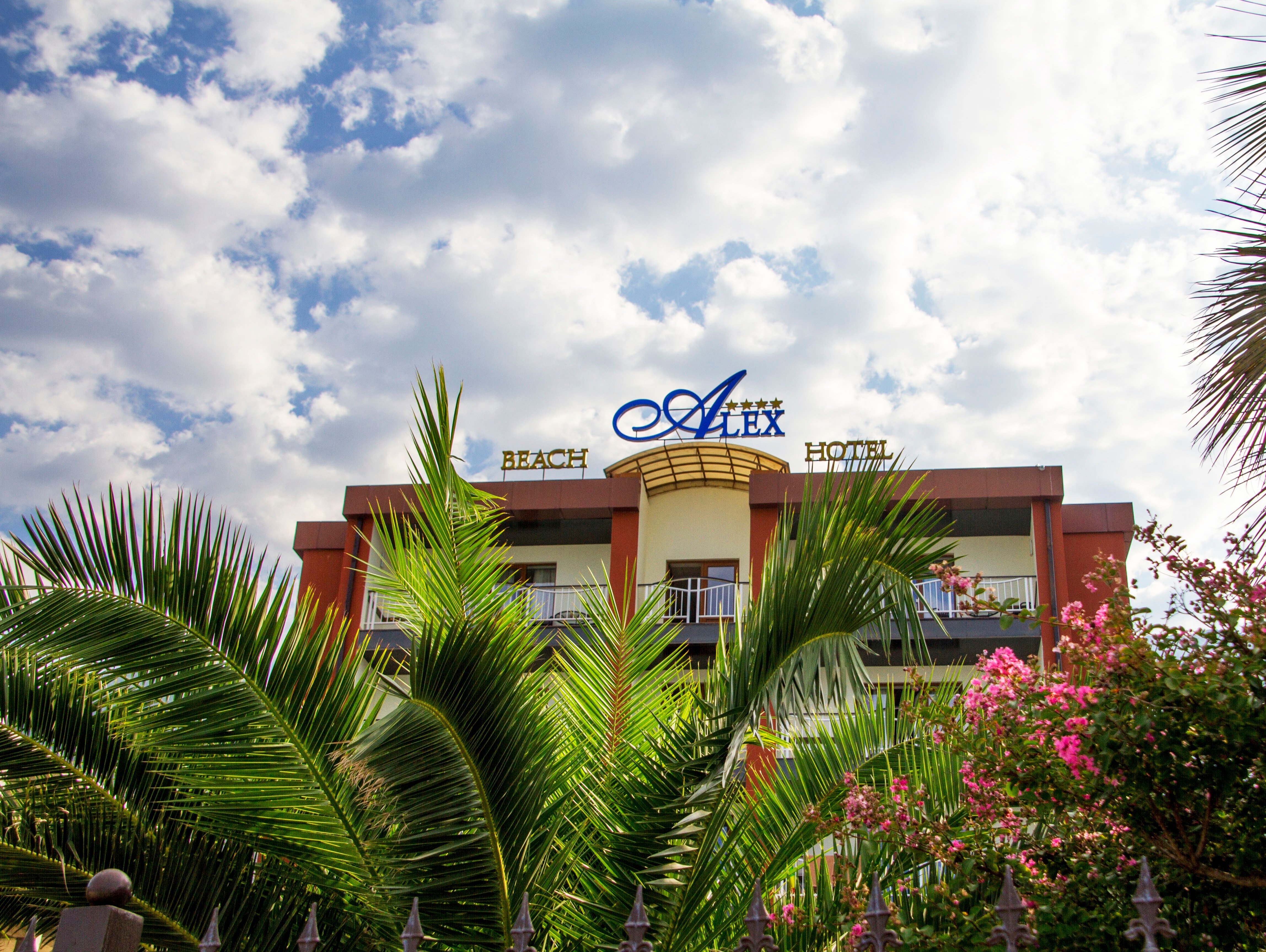 Alex Resort & Spa Hotel-官方