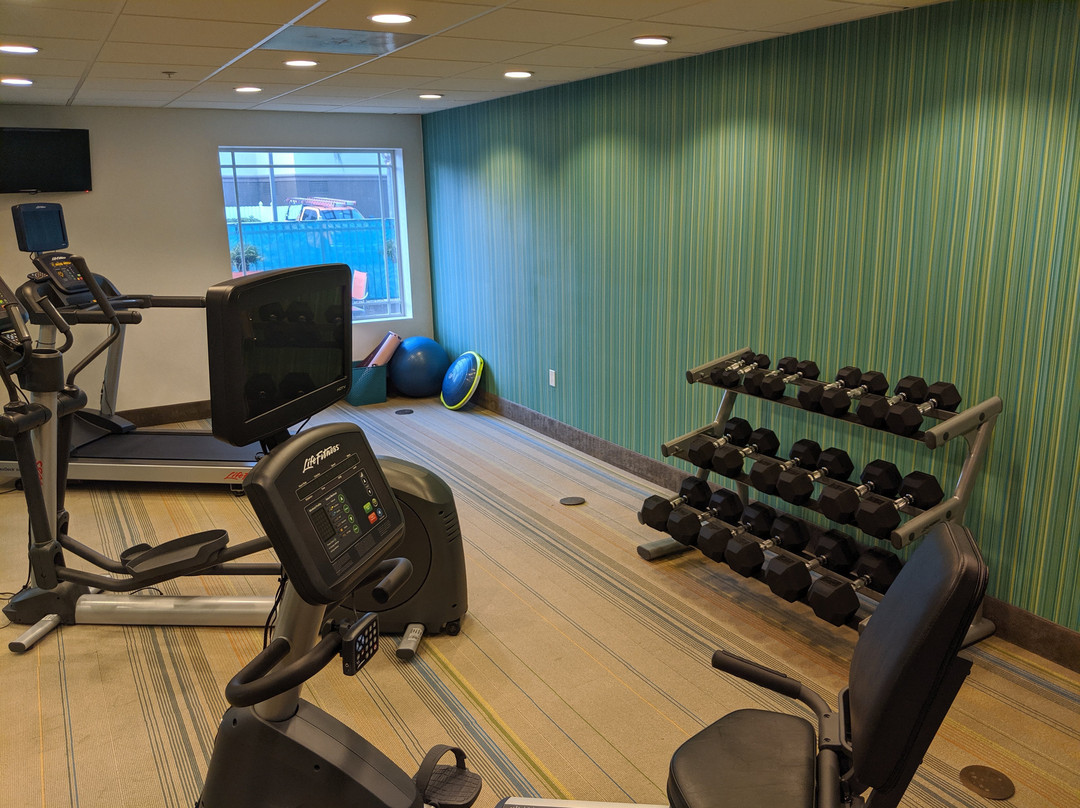 威尼斯酒店住宿-威尼斯智选假日酒店