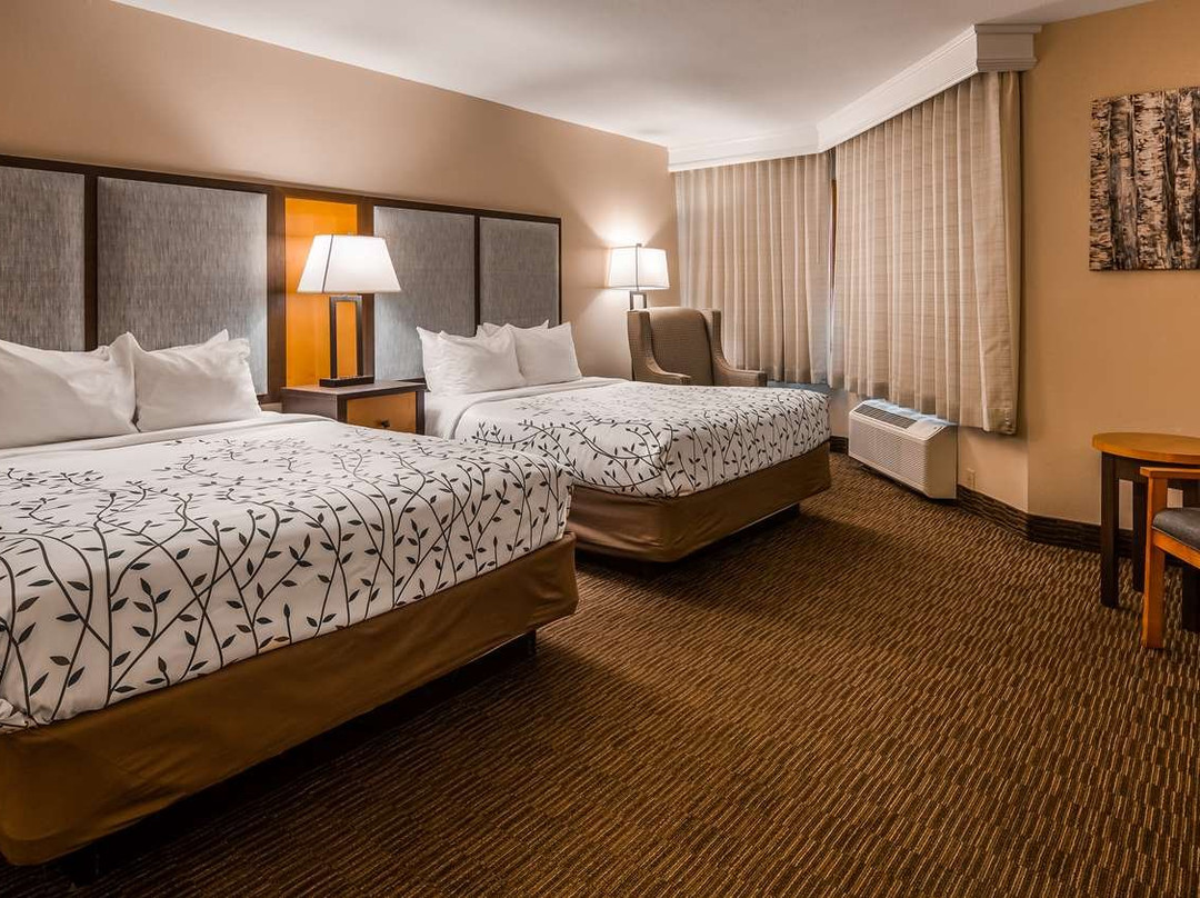 Americinn By Wyndham Birch Run/frankenmuth主图