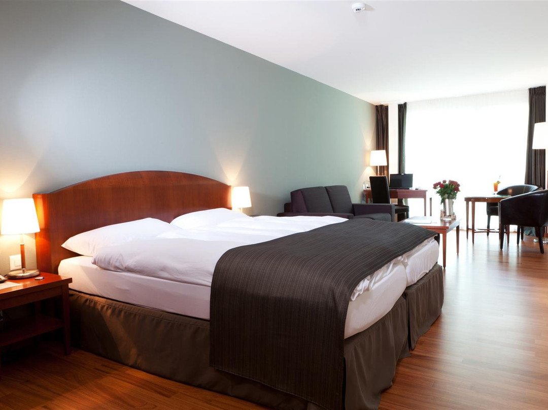 Hotel Rallye主图