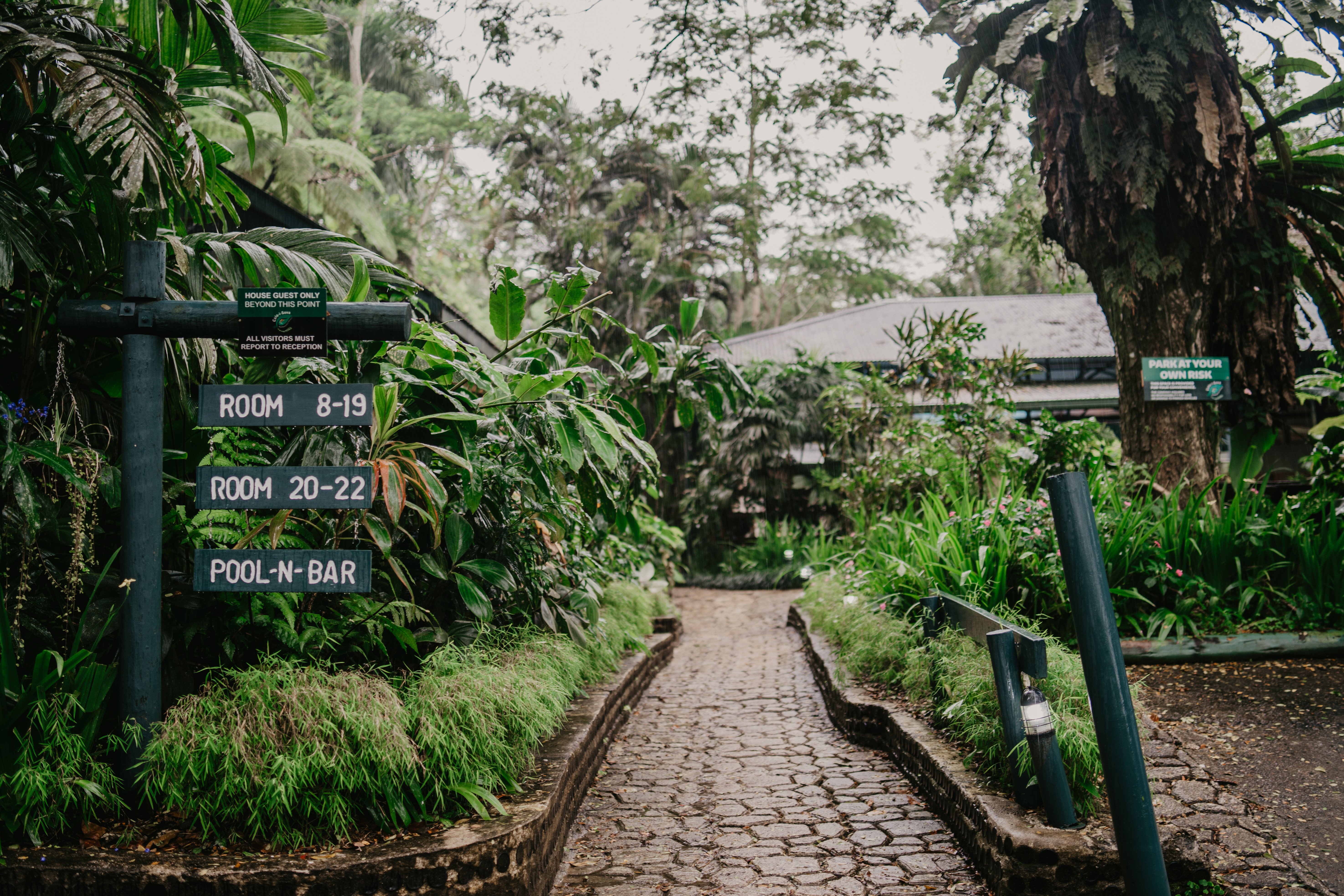 Rainforest Eco Lodge-官方