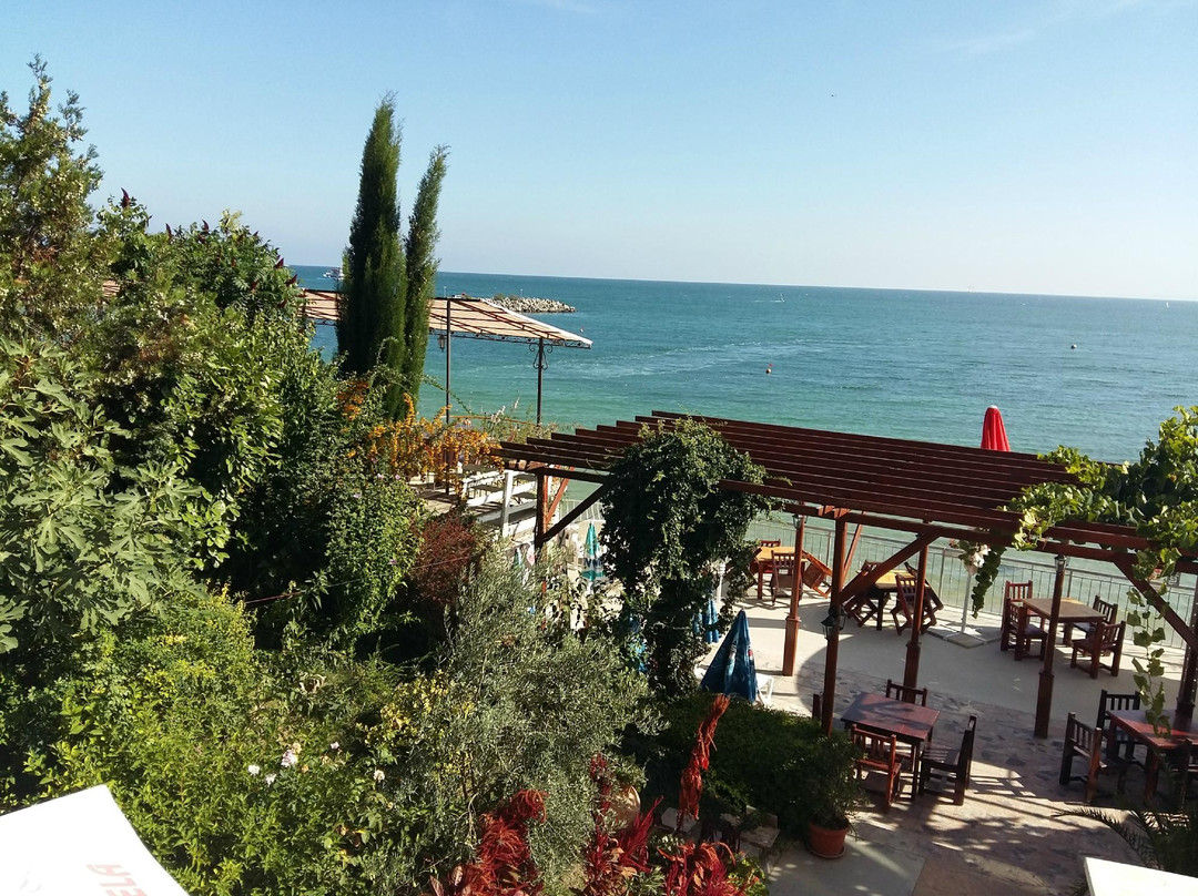 Hotel Petrov