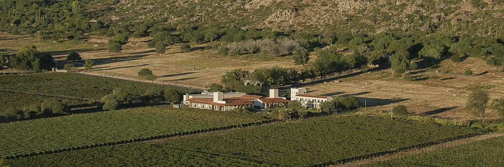 卡法亚特酒店住宿-Vinas de Cafayate Wine Resort