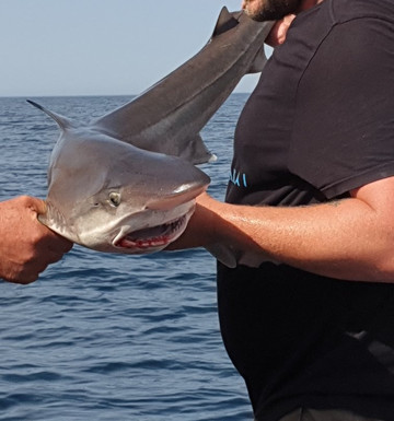 Bootlegger Boat Trips-纽奎必去景点