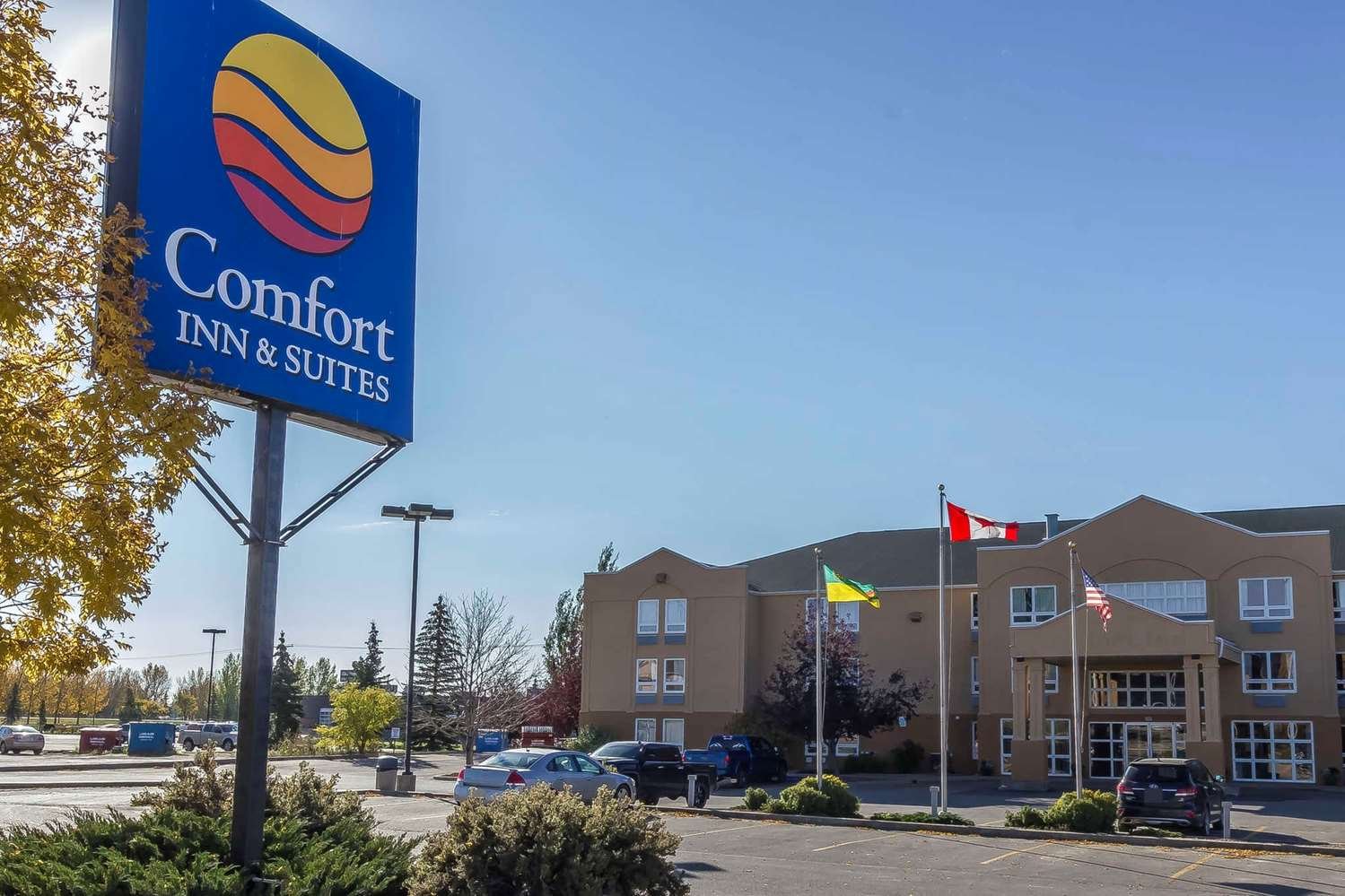 Comfort Inn & Suites-官方
