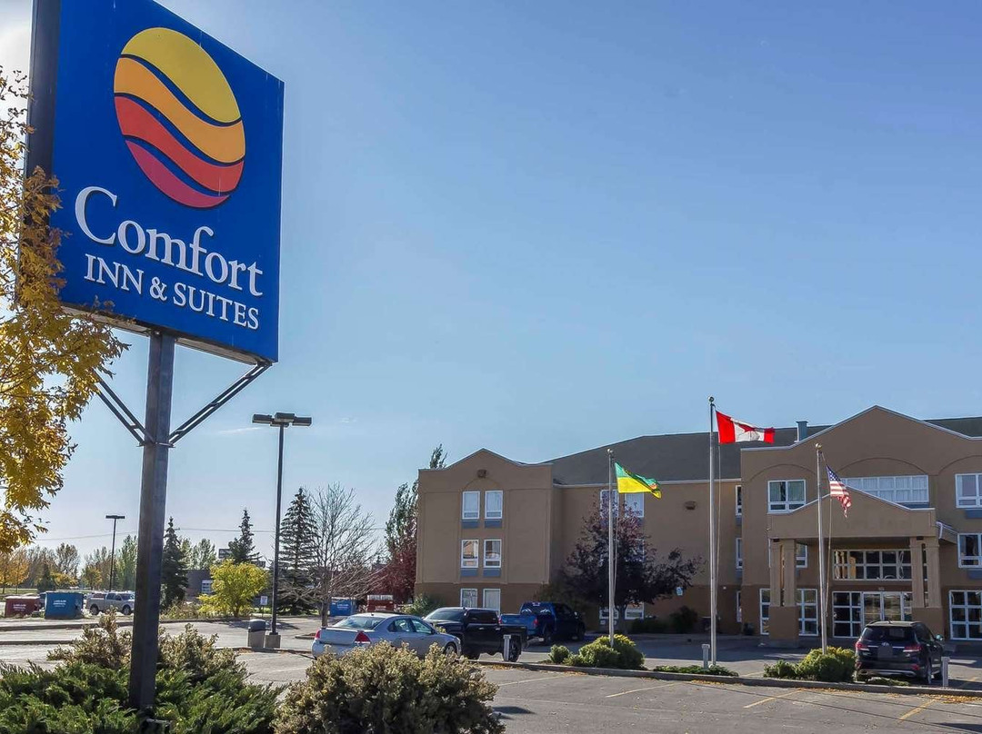 Comfort Inn & Suites主图