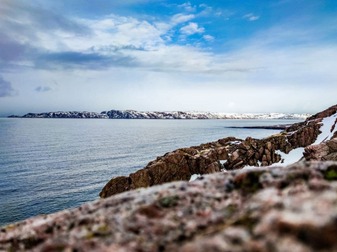 Arctic Freedom景点图片