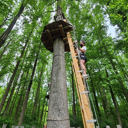 Go Ape Zipline & Adventure Park景点图片