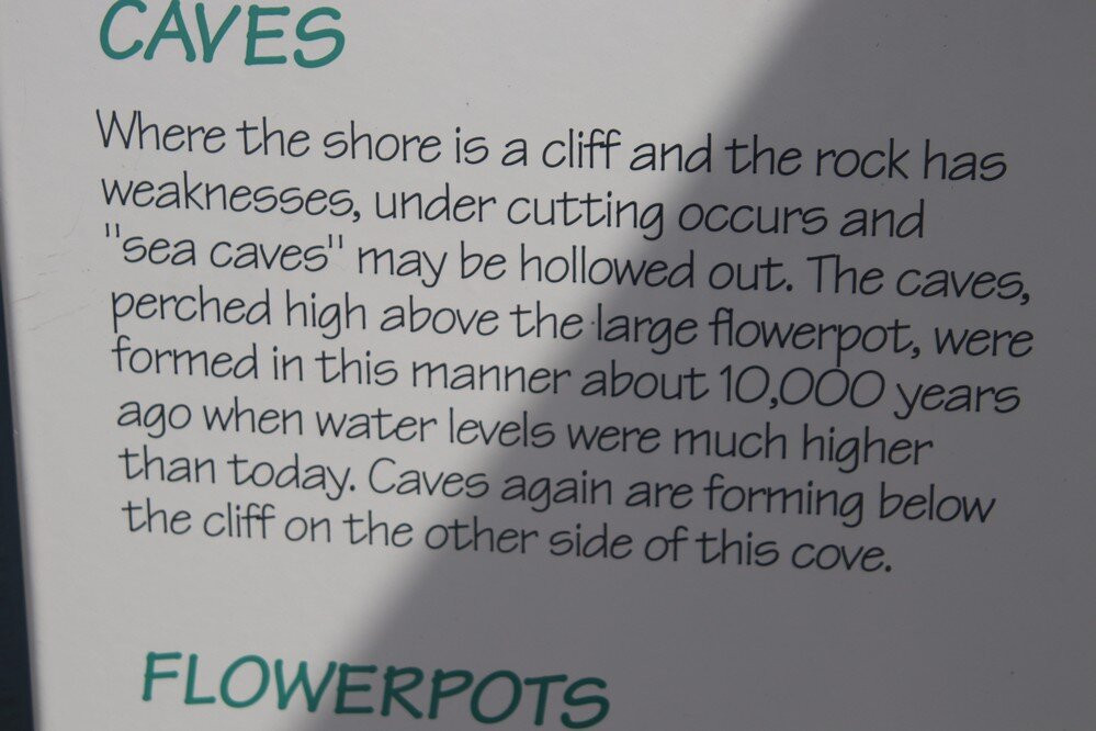 Sea Caves Flowerpot Island景点图片