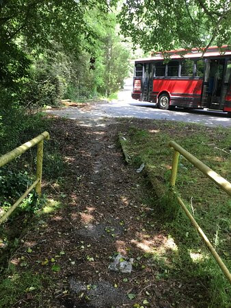 Main Street Trolleys-卡温顿必去景点