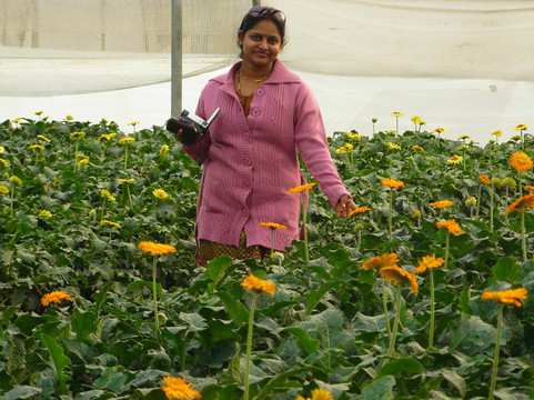 Uttarakhand Tours-里希克虚必去景点