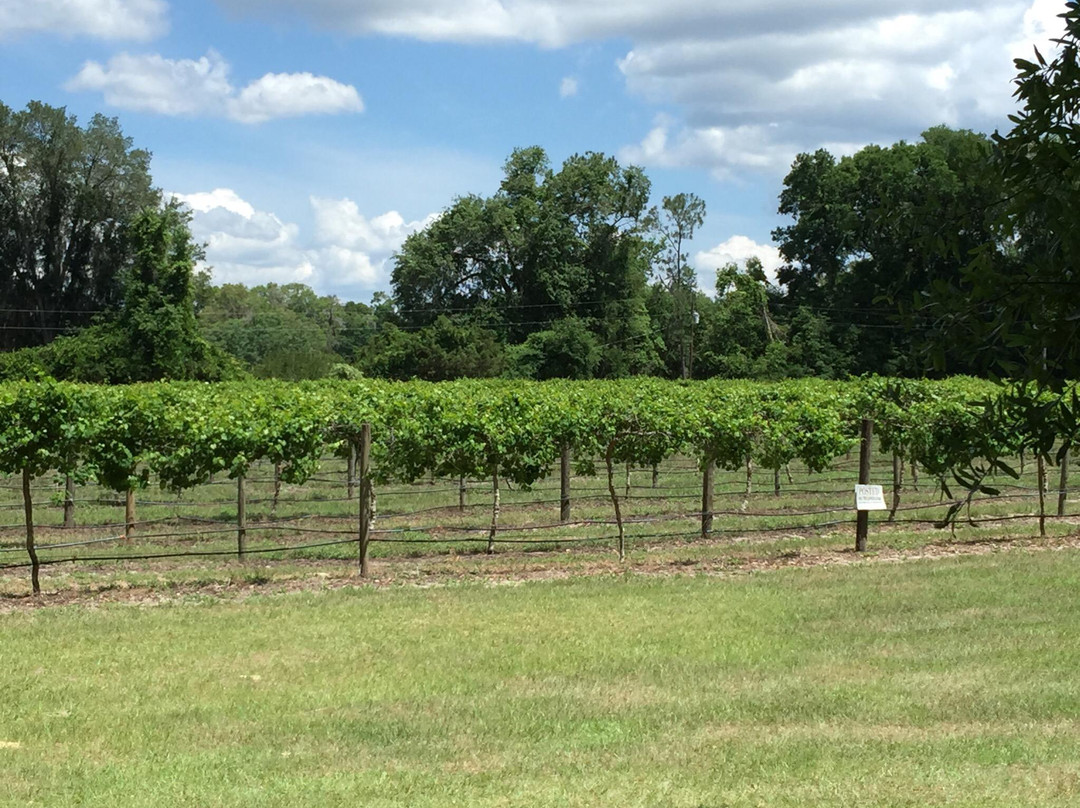 Log Cabin Farm, Vineyard & Winery景点图片