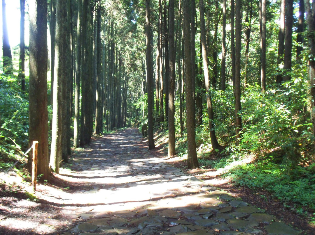 箱根旧石铺路景点图片