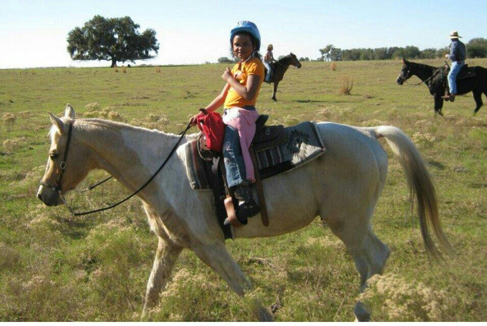 RJ Horse Riding LLC.-Bradenton Beach必去景点