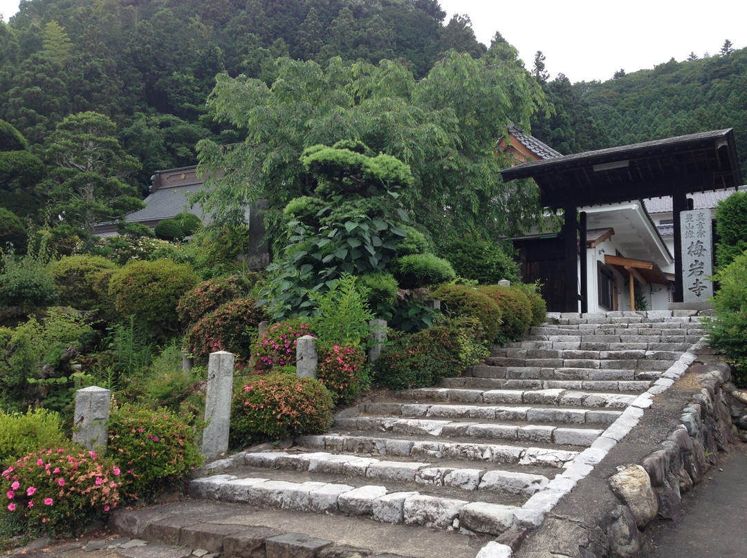 Baiganji Temple Shidarezakura-青梅市必去景点