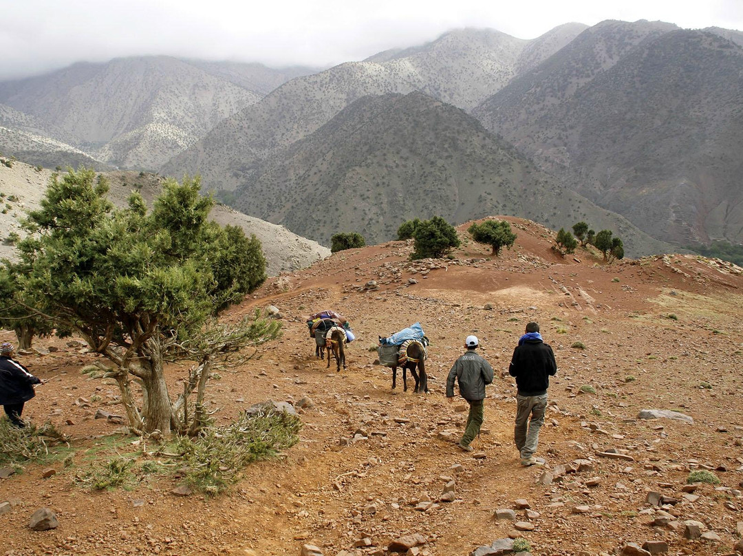 Berber Walk-马拉喀什必去景点