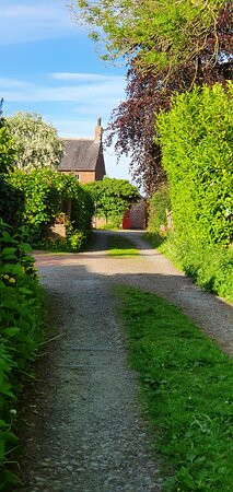 Old Vicarage Brewery景点图片