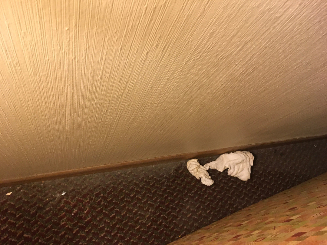 Airport Motor Inn Marathon