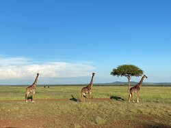 Shades Of Africa Safaris景点图片