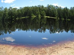 Brendan T. Byrne State Forest-New Lisbon必去景点