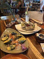 Fred Howard Park-塔彭斯普林斯必去景点