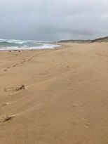Gunnamatta Beach景点图片
