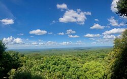 Amafu Forest Lodge主图