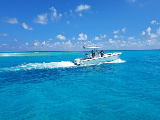 Sea Senorita Charters-Tavernier必去景点