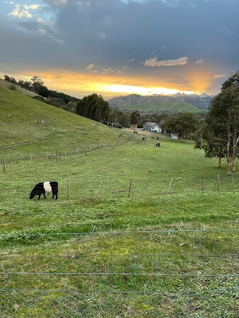 Strath Valley View Bed & Breakfast主图