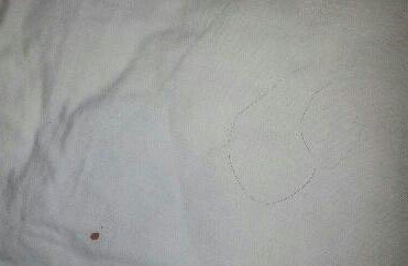 Best Western Okmulgee主图